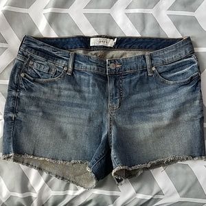 Torrid Short Shorts